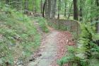 kozia-gora-686-m-npm-beskid-slaski
