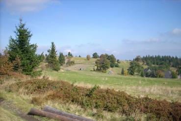 Potrójna 884 m n.p.m. (Beskid Mały) Potrójna 884 m n.p.m. (Beskid Mały)